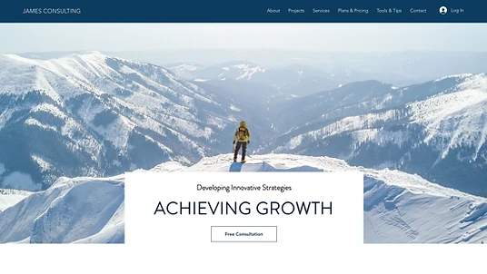 website-img